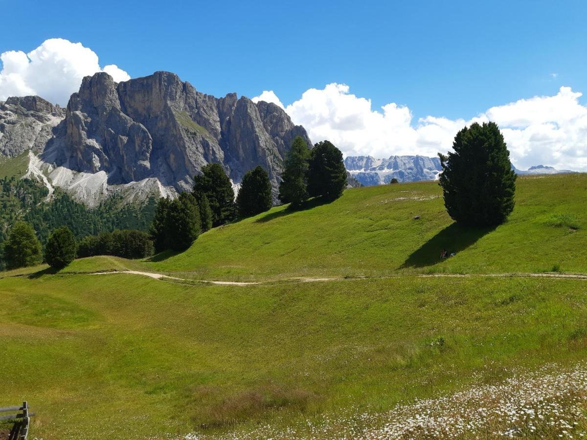 Garni Franca B&B Selva di Val Gardena Exterior photo