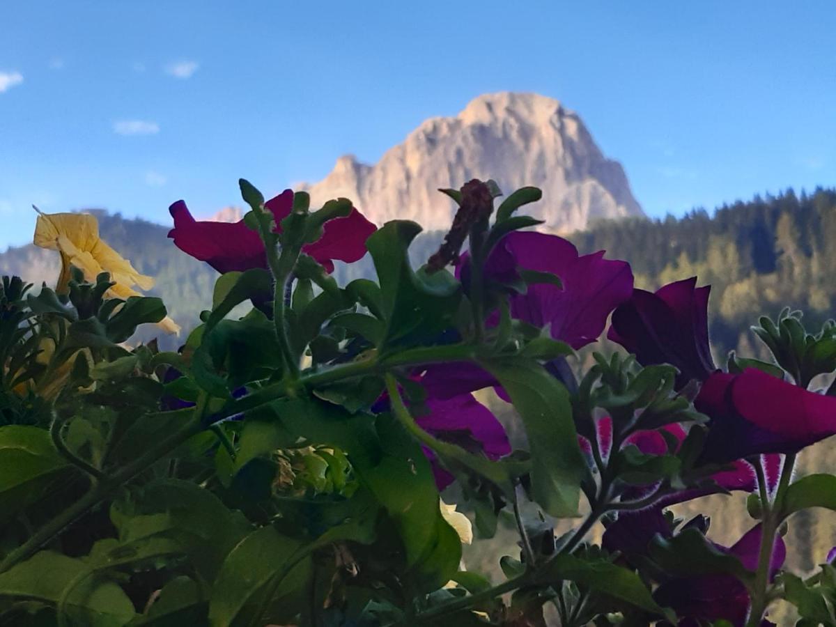 Garni Franca B&B Selva di Val Gardena Exterior photo