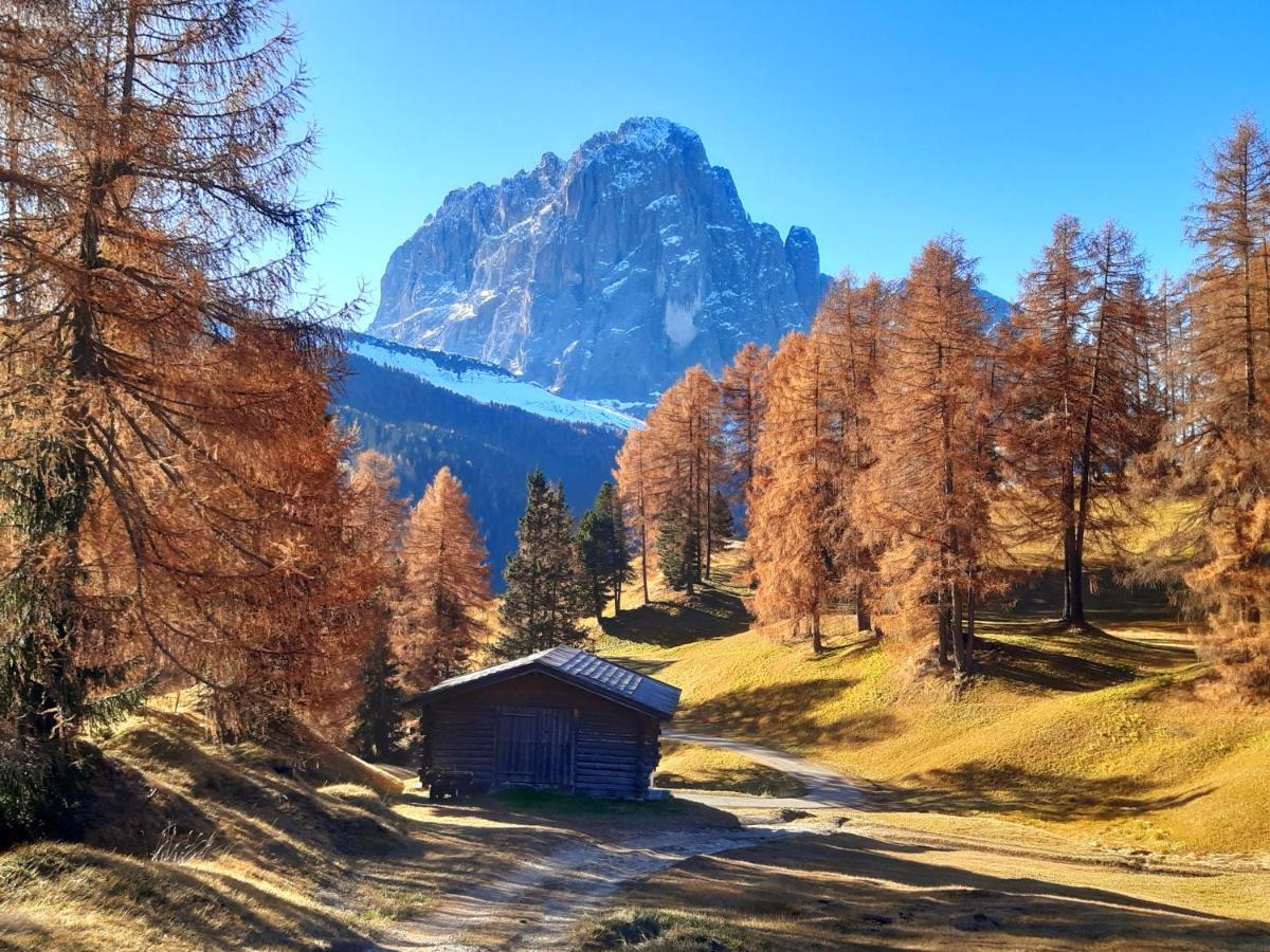 Garni Franca B&B Selva di Val Gardena Exterior photo